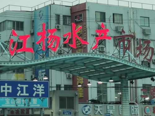 中國國際水產(chǎn)博覽會走進上海江楊水產(chǎn)市場與廈門商貿(mào)合作新篇章